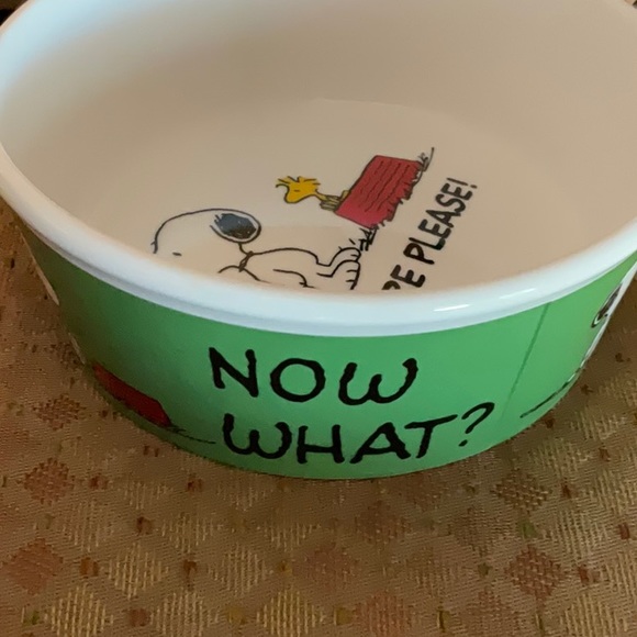 Snoopy & Woodstock Halloween Costumes Canister & MORE PLEASE! pet bowl NWT - Picture 2 of 9